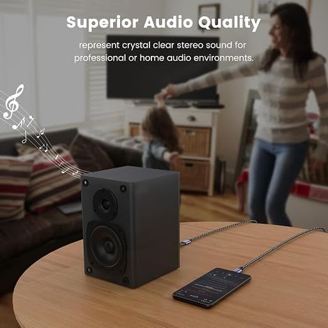Câble USB-C vers 2 RCA Mâle, Audio Stéréo Type C vers Cinch (1/4)
