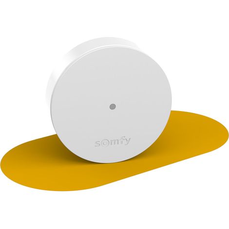 SOMFY 2401495 - Relais radio - Améliore la portée radio