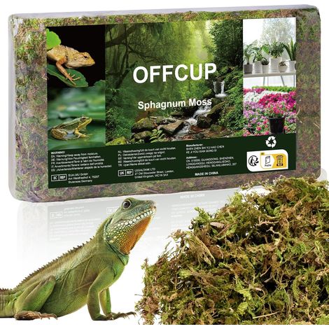 Mousse naturelle, 150 g de mousse de forêt séchée pour maintenir l'humidité, décoration de terrarium, sol d'orchidée, moyen, pour plantes, plantes grasses, reptiles, escargots, tortues (1/5)