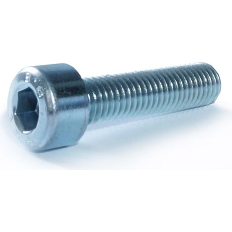 Reidl DIN 912 Zylinderschraube, Innensechskant, Vollgewinde M 12 x 100 8.8 verzinkt (1/3)