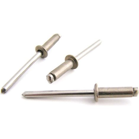 RIVETTO INOX C/A 250 PZ