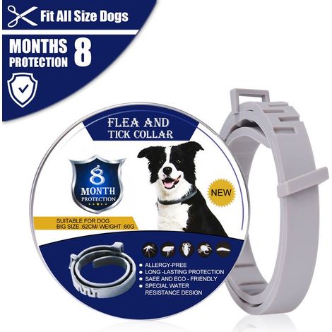 Floh- und Zeckenhalsband für Hunde. Natürliche Behandlung und bis zu 8 Monate Schutz vor Flöhen und Zecken. Verstellbare Größe ab 62 cm. Wasserabweisend. (1/5)