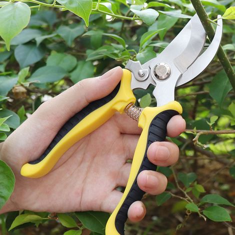 Sécateur pour jardinage, cisaille à élaguer SK5, taille-branches, outil horticole manuel, cisaille à arbres fruitiers, outils de jardinage, fournitures de jardinage, sécateur pour bonsaï, outil de gre (1/5)