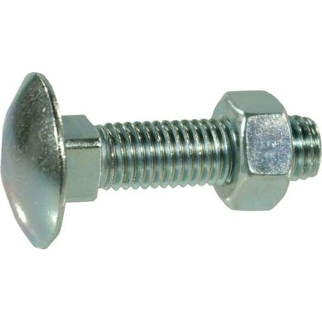 Vite a testa tonda con quadro sottotesta e dado M8x20 4.6 DIN603 zincata UNIVERSALE 603820 (1/2)