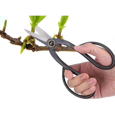 Tijeras de acero para bonsái de 20 cm, tijeras de jardinería japonesas, para podar y recortar ramas, color negro. (1/5)