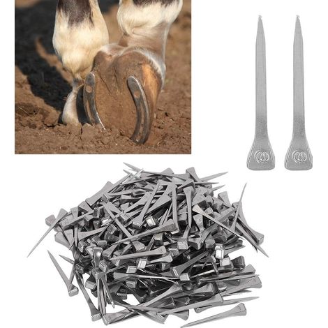 Clous en fer à cheval - 250Pcs Acier E4 Stable Horseshoe Nail Cheval Outil Équipement Accessoires 4.8CM Facile à utiliser (1/5)