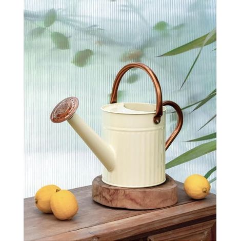 Arrosoir d'intérieur en Acier Inoxydable pour intérieur et extérieur - Long Bec - pour arroser Les Plantes - 1,2 l - Blanc crème (1/5)