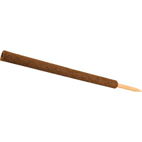 Windhager Kokos-Pflanzstab 80 cm Rankhilfen (1/4)