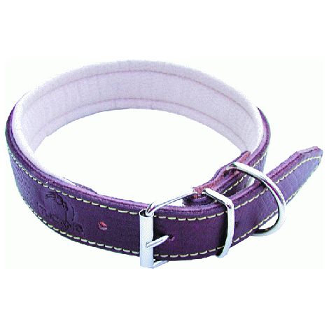 Collare per Cani in Cuoio imbottito e fibbia in metallo -50 cm (1/2)