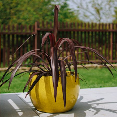 Pot grande taille d'extérieur ROMULUS 42x30cm jaune, fait main en terre cuite émaillée, résistant au gel (1/5)