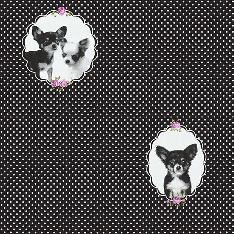 BRICOFLOR Papier peint moderne Papier peint tendance Tapisserie moderne Papier peint intissé Anthracite Violet - 10,05 x 0,53 m (1/5)
