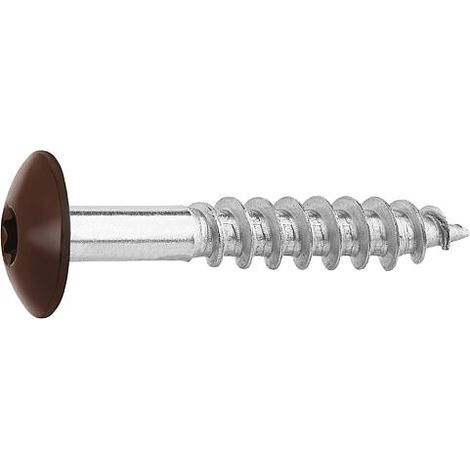 Vis pour panneaux stratifiés A4, 5,5 x 35, RAL 8014 brun sepia, UE : 100