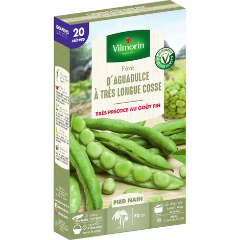 Vilmorin Fève d'Aguadulce à Très Longue Cosse - 20 m
