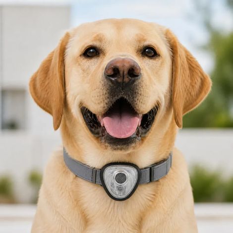 Répulsif électronique anti tiques et puces pour chien et chats noir