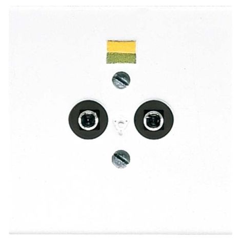 JUNG LS965-2WW POTENTIALAUSGLEICH-STECKDOSE, ALPINWEIß, LS990