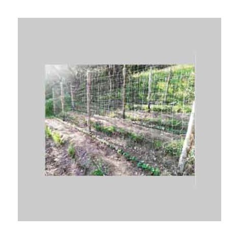 RETE RAMPICANTE CARDINALE 2x50 mt - colore bianco