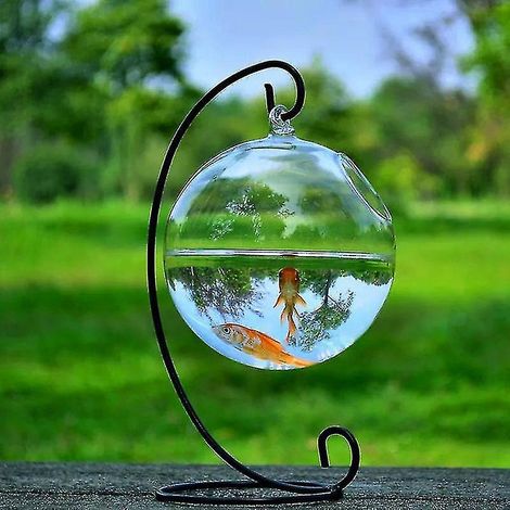 Wandmontiertes Hydroponik-Blasenaquarium mit Fischen, Glasgefäß, Vase und Innendekoration – Schwarz