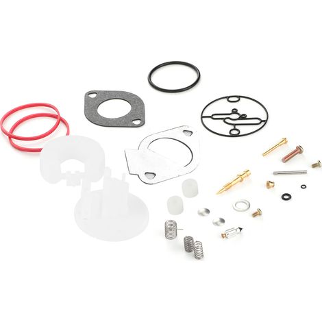 Kit de réparation de carburateur compatible avec Briggs & Stratton 796184, 796081 et 790727 - Révision complète Nikki (1/5)
