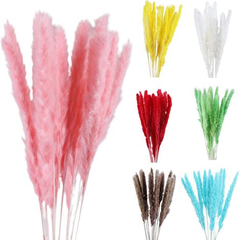 Petites herbes de la pampa séchées (phragmites) - Décoration naturelle - Accessoires de photographie pour mariages à l'hôtel (1/5)
