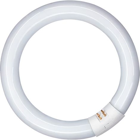 Tube Fluorescent Circulaire 40w Lumière Froide 6500k - Patron