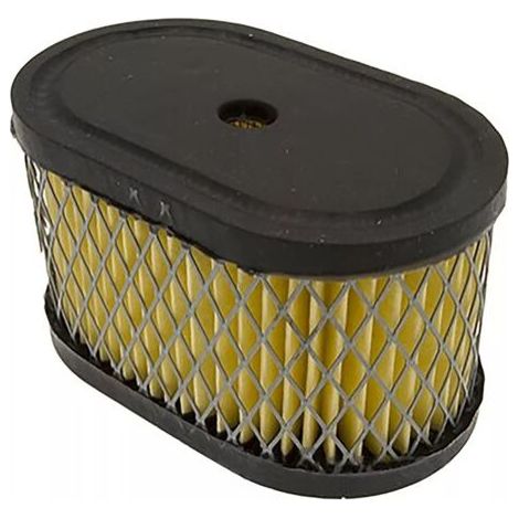 Carburateur compatible avec Tecumseh 593599, 595390, 121R02, 121S02. Carburateur remplaçable pour moteur 8,5 CV avec adaptateur de filtre à air.