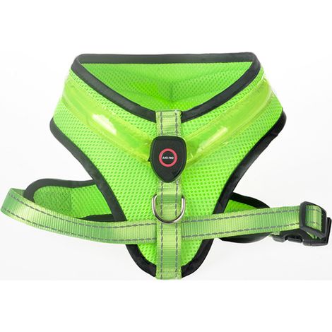 Harnais lumineux pour chien, rechargeable, réglable, tailles S, M et L (1/5)