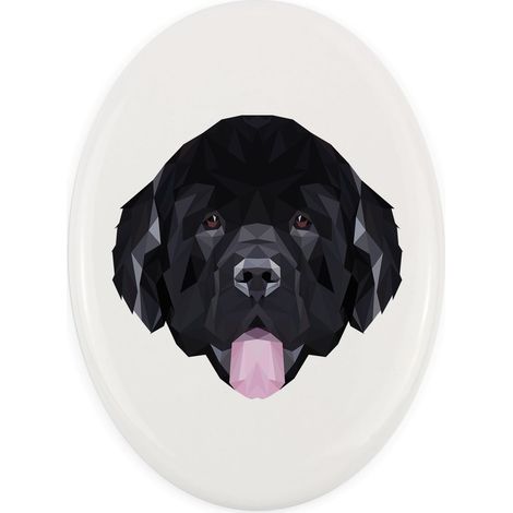 Terranova, Terranova, Cascada: mosaico geométrico con foto e inscripción de Art-Dog (1/4)