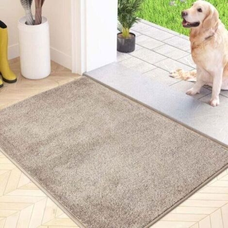 Paillasson absorbant antidérapant 60x90cm beige entrée maison (1/4)