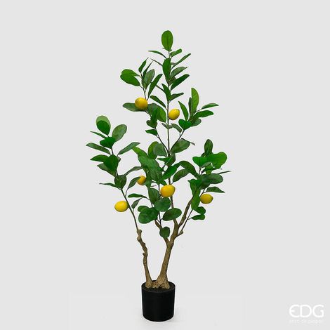 EDG Enzo De Gasperi Limone  Vogue x6 con Vaso Pianta Artificiale H 126 Cm Verde Giallo