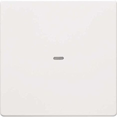 Plaque de finition Berker 80960229 fixe compatible bus système blanche