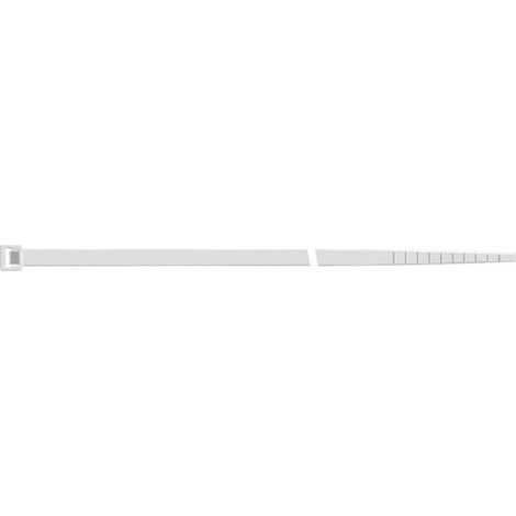 Sapi Selco Kabelbinder Nylon natur 180x4,5mm 100 Stück (1/4)