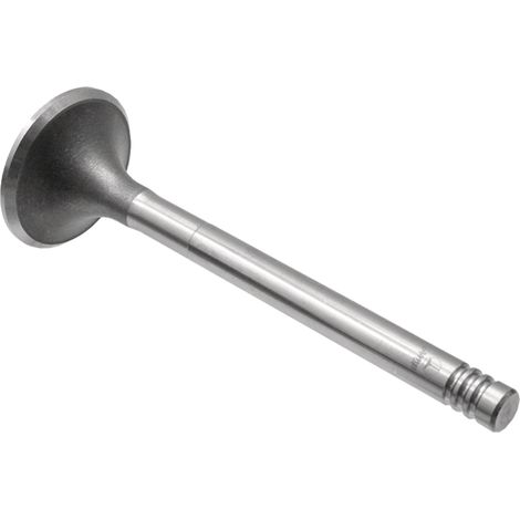 Soupape d'échappement Renault 38006027 GRANITE 7701006368