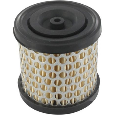 Filtre à air moteur Briggs et Stratton - 396424
