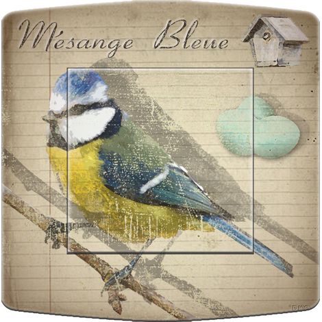 Interrupteur mesange bleue