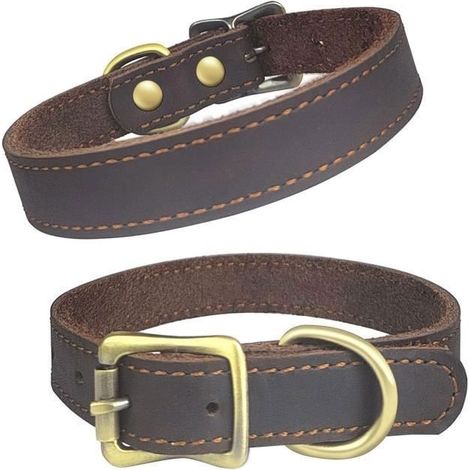 (s)Qianruida Collier pour Chien Cuir Véritable Colliers Réglables en Cuir - S (1/5)