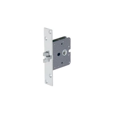 Loquet 900-50 Inox Mat Silencieux Réversible (1/4)