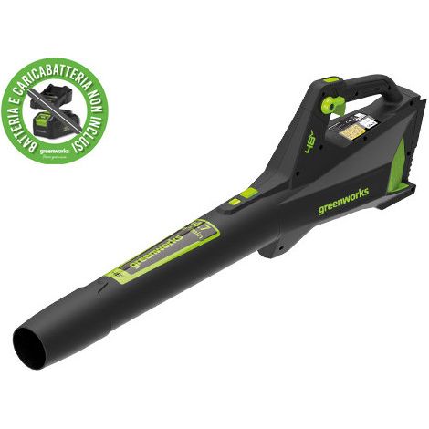 SOFFIATORE GREENWORKS ASSIALI 48V GD48AB