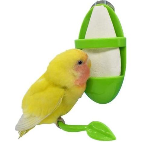 Support d'os de seiche d'oiseau - Câlins en Plastique - Vert - Jouets à mâcher pour oiseaux (1/4)