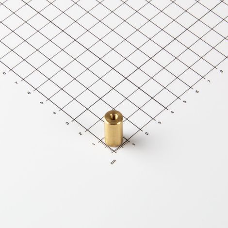 Magna-C Messing Stabgreifer aus Neodym Ø10x20mm mit Innengewinde (1/3)