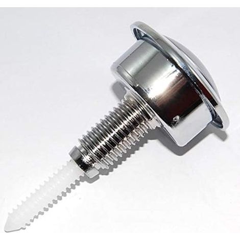 Un pulsante per lo scarico, un interruttore a pulsante posto sulla parte superiore della cassetta di scarico del WC, di colore argento. (1/5)