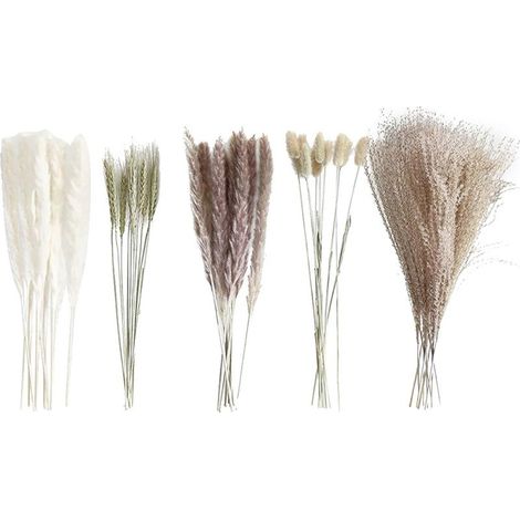 Bouquet De Fleurs Séchées - Pampas Grass Et Roseau Artificiel - Décoration Intérieure Murale Ou Table - Lot De 1 (1/5)