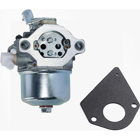 Carburateur 698171 692684 compatible avec Briggs & Stratton 495778 494883 (1/5)