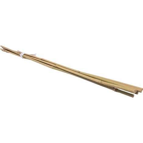 Lot de 6 tuteurs en bambou WERKA PRO H 150cm (Ø 14-16 mm)