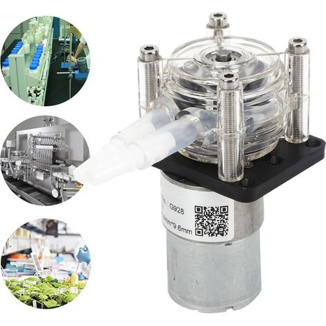 Pompe péristaltique à grand débit, pompe doseuse de haute qualité pour aquarium et laboratoire, 500 ml/min, 24 V (1/5)