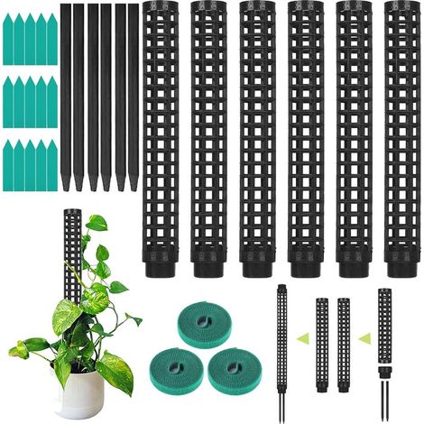Treillis, Tuteur de Plante, Bâton De Mousse Pour Monstera, Pack de 6, Plantes d'Intérieur Coconut, Poteau de Mousse, Support de Plante, Aide à L'Escalade Monstera (1/5)