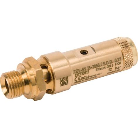 Soupape de sécurité UNIVERSEL SV2122G04M12B (1/2)