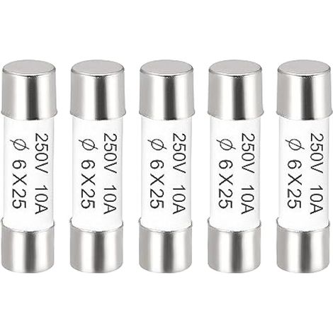 Cartouche fusible céramique 10A 250V 6x25mm à action rapide - Lot de 5 pour amplificateur, lampe économique, ballast (1/4)