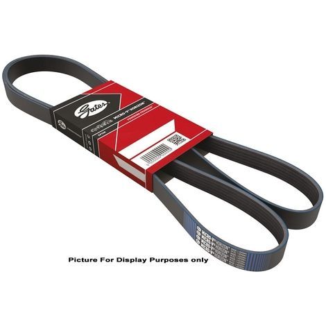 Courroie trapézoïdale à nervures Gates 5PK848 CITROËN 1370971 1371653 1563257