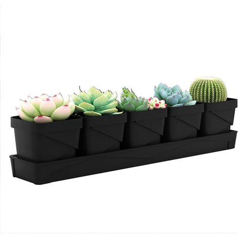 5er-Set Kräutertöpfe mit Untersetzer für Zimmerpflanzen – Für Kräutergarten und Fensterbank – Wohnaccessoires – Basilikum, Minze, Petersilie – Schwarz