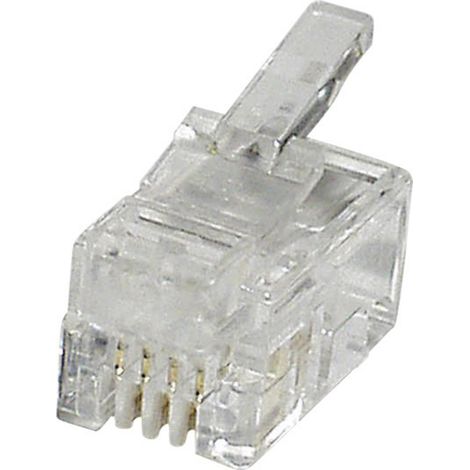 Fiche modulaire mâle econ connect MPL44 RJ10 mâle, droit transparent(e) 1 pc(s) (1/2)